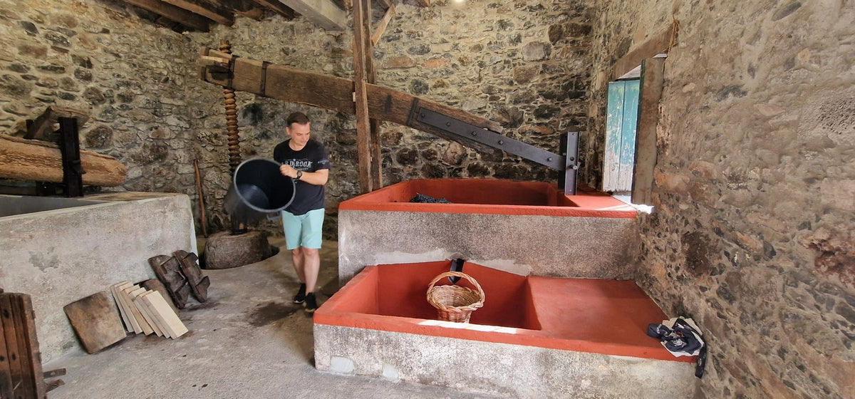 The old wooden wine press and the stone treading tanks in the winery