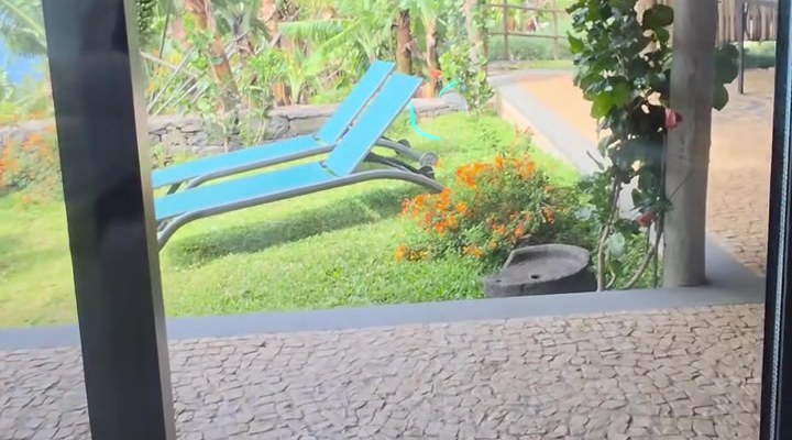 Sun loungers on the lawn outside the suite