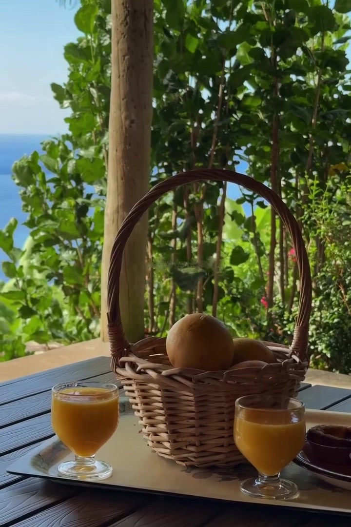A basket of fresh fruit and juice on the garden table of the Tropical Little House