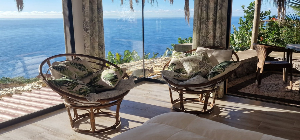 Two rattan chairs by the large windows, with the ocean beyond and a cat outside