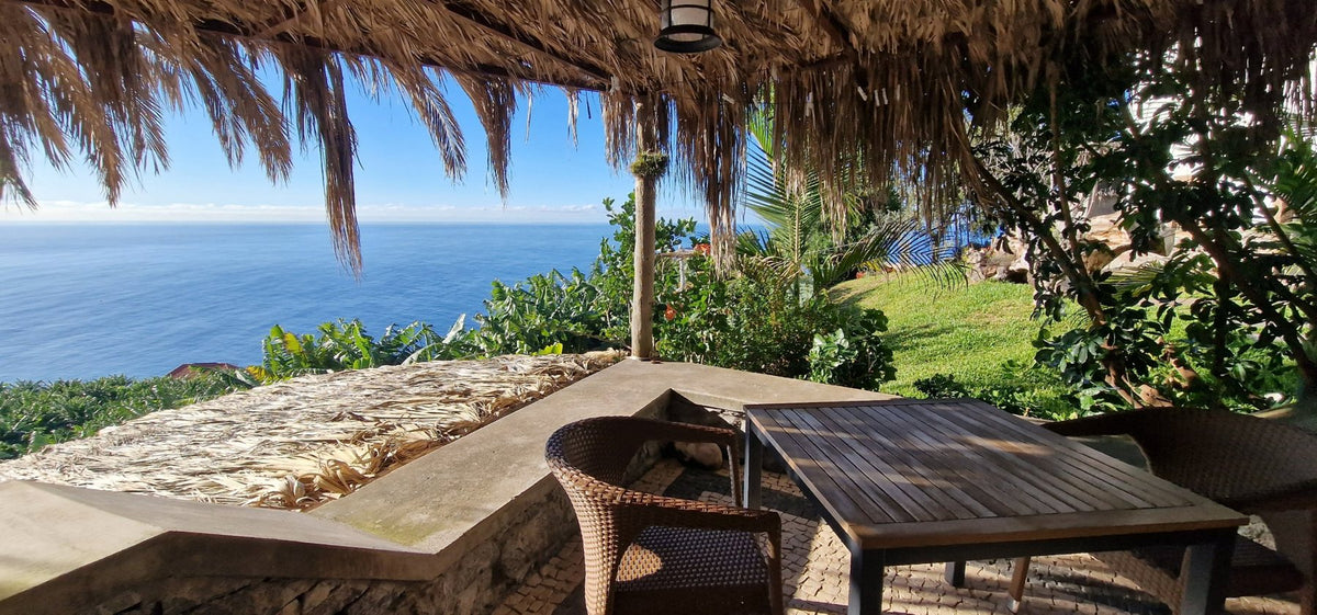 The patio table under the thatched roof, with the lawn and the sea beyond