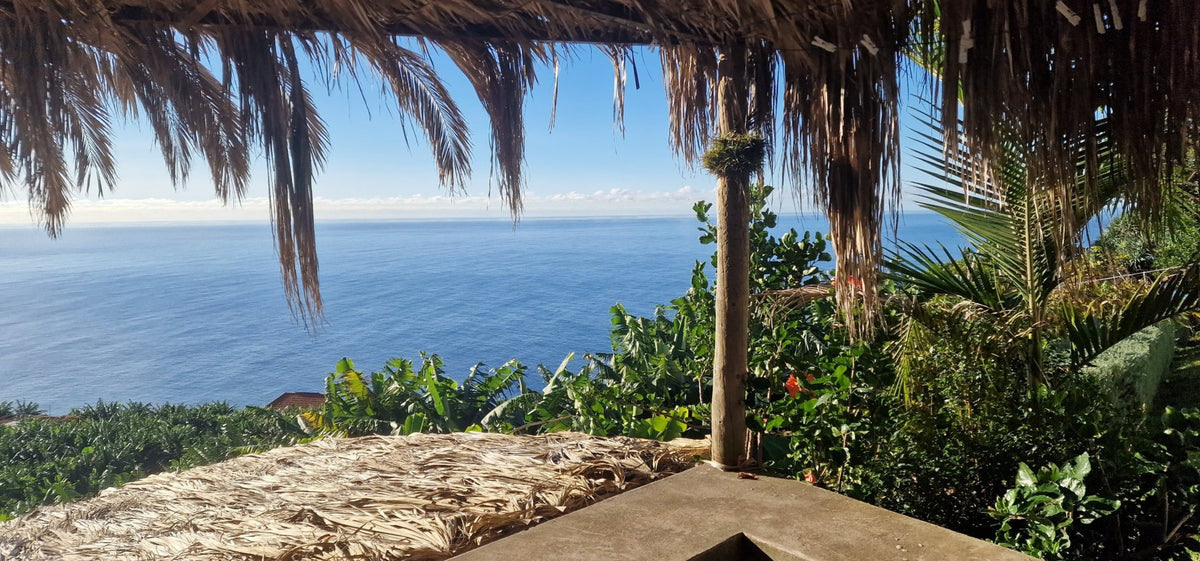The Atlantic seen from under the thatched roof