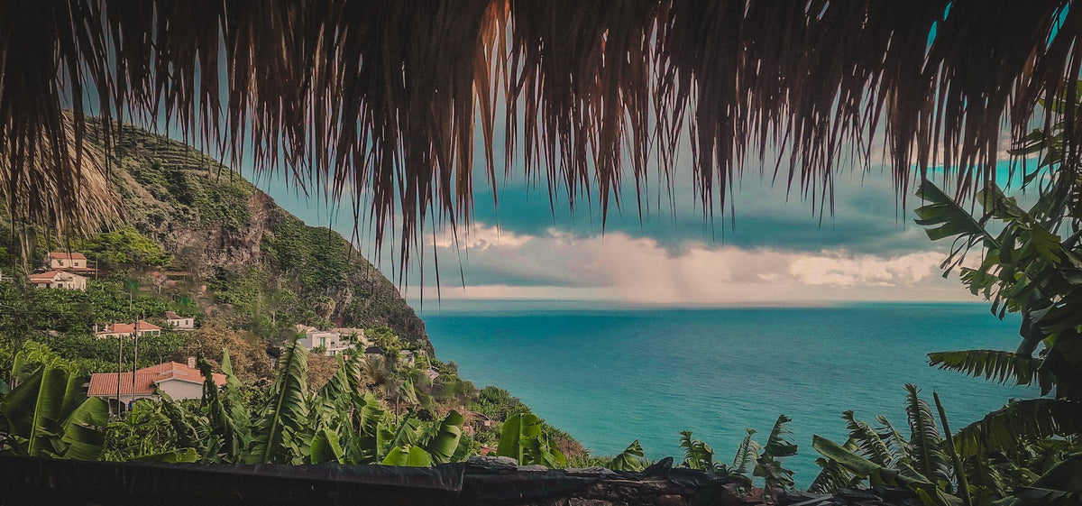 The sea and the coast of Arco da Calheta seen from under the thatched roof